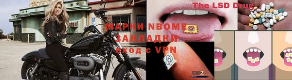 шишки Переславль-Залесский
