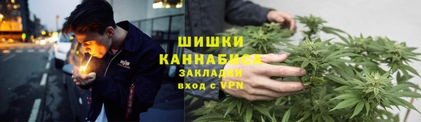 шишки Переславль-Залесский