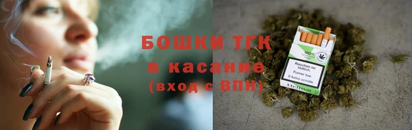 шишки Переславль-Залесский