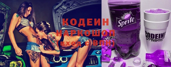 шишки Переславль-Залесский