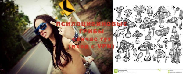 а пвп мука Пересвет